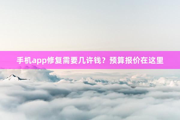 手机app修复需要几许钱？预算报价在这里