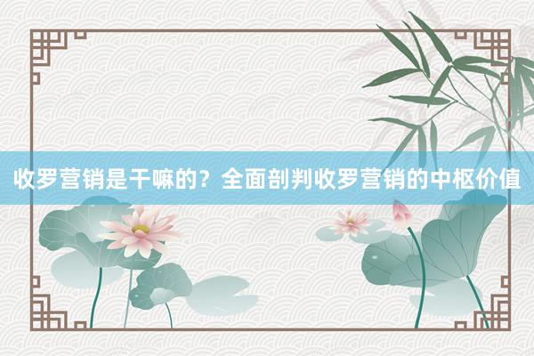 收罗营销是干嘛的？全面剖判收罗营销的中枢价值