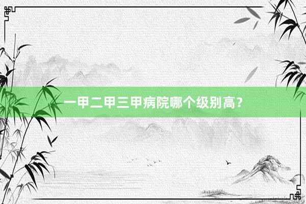 一甲二甲三甲病院哪个级别高？